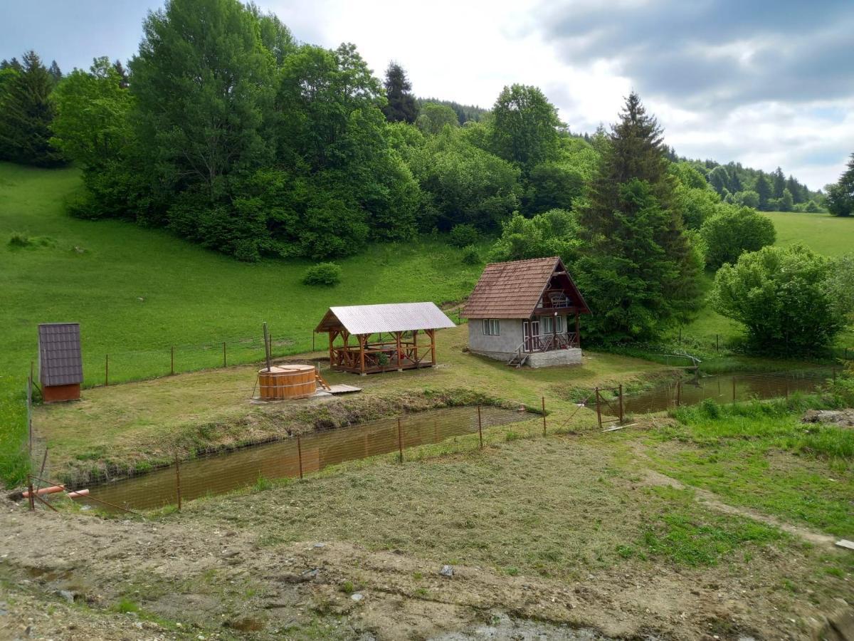 Cabane Areama Neagra Izvoru Mureşului Zewnętrze zdjęcie