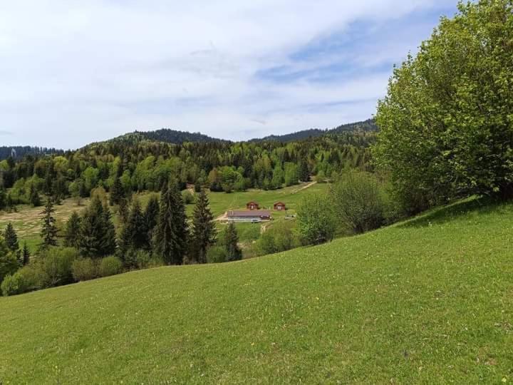 Cabane Areama Neagra Izvoru Mureşului Zewnętrze zdjęcie